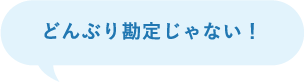 どんぶり勘定じゃない！