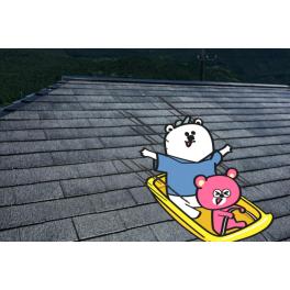 次の屋根塗装のタイミングを知るポイントは？年数を超えるとどうなる？