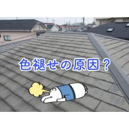 屋根の色あせの原因とは？屋根塗装の色の選び方を紹介します！